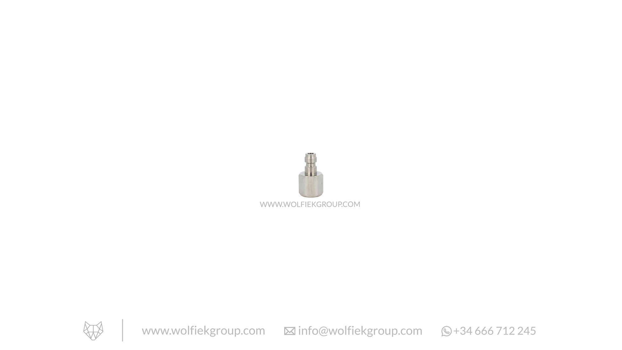 G. Foster Adapter Wolfiek Group Foster Male to G1/8