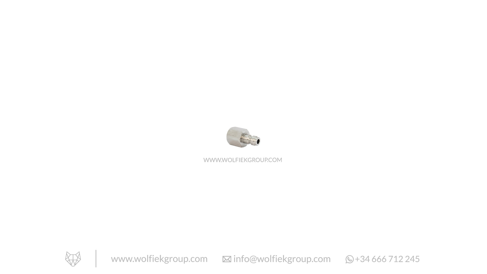 Foster Male to G1/8¨ BP Female Adaptor